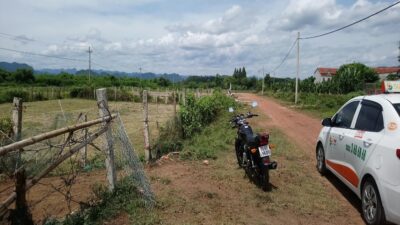 302dbd961141ee1fb750 Cop