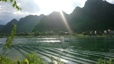 F8d006cc42ddbe83e7cc