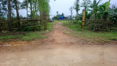 4d9784ab890d7853211c Cop