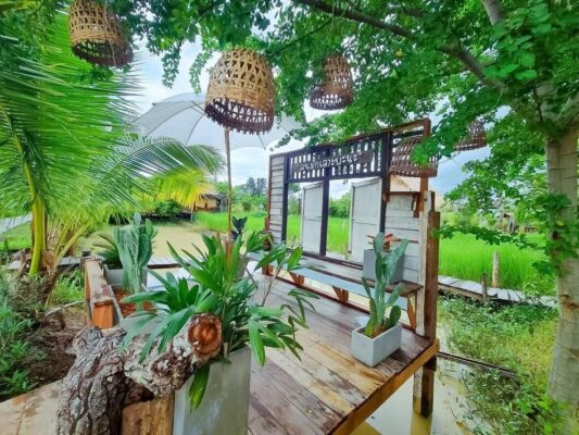 Homestay đồng quê