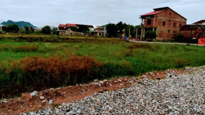 243173393 397579661940452 6718412506795665370 N