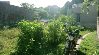 C9580ea061989cc6c589 Min