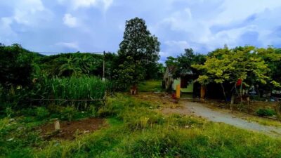 5f1b883b3a7dce23976c8 Min