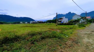 915abc0ffc50360e6f4113 Min