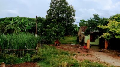 A8d32bf599b36ded34a29 Min