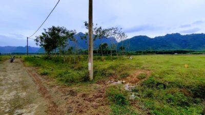 B1af2fbd6fe2a5bcfcf314 Min