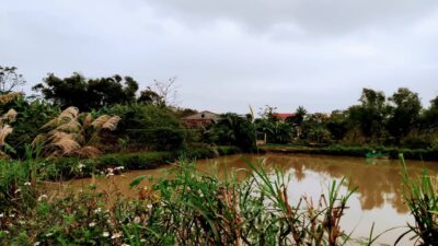 D8ca248fefb725e97ca633 Min