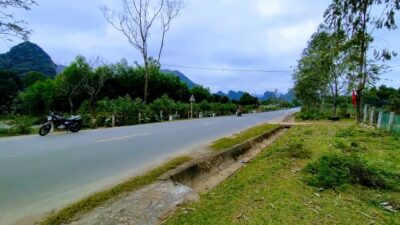 273224521 1368668156917788 7992390861342052812 N Min