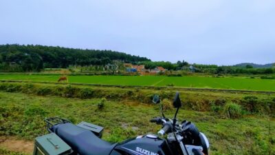 273823724 659428702168477 209026463621795047 N Min