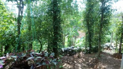 6c5f9afd4946b518ec57 Min