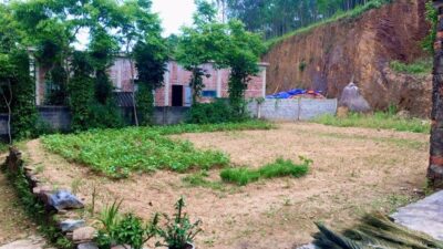 Cf7ce8ab94146e4a3705 Min