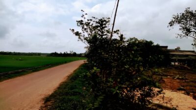 D280c6992aa8e5f6bcb917 Min