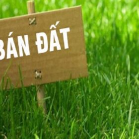 Quảng Bình: “Siết chặt” quản lý đất đai, ngăn ngừa phân lô, tách thửa