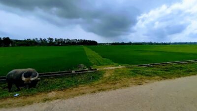 E18d5981b5b07aee23a119 Min