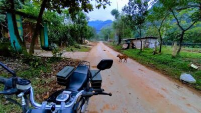 F4694a0082384866112953 Min