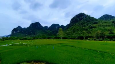 277812605 384424343534347 3902568238559465138 N Min