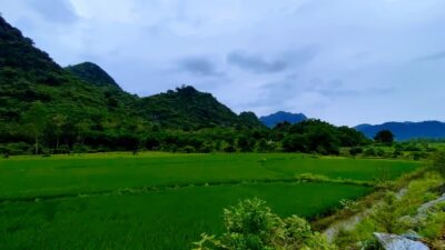 277833907 549168533219848 4655139218529861769 N Min