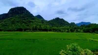 277913057 520036276230408 5245150448005375462 N Min