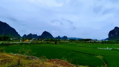 278005479 557890312219298 6613258676004382488 N Min