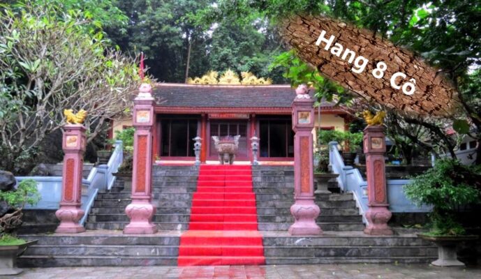 Hang 8 Co