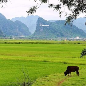 Phong Nha – Kẻ Bàng là một trong 7 địa danh dự kiến quy hoạch thành khu du lịch quốc gia được ưu tiên.