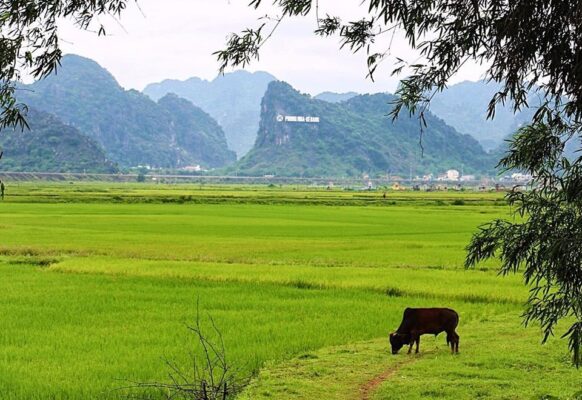 phong nha ke bang