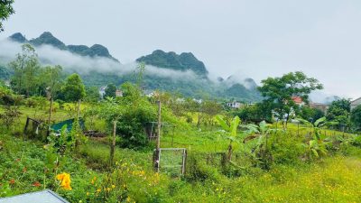 377701033 647447394148258 6938950276191181473 N