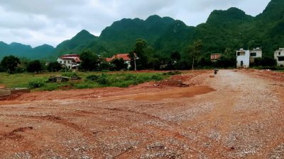 Z4783231857274 76604f5d6256bbbbf3886ecf553e5036 Min