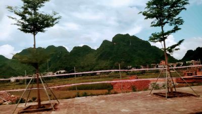 Z4783254236354 B4998a6bb37d627a1cec7d8b66311fbe Min