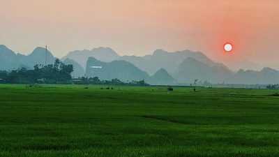 Hoang Hon Voi Lua Xanh