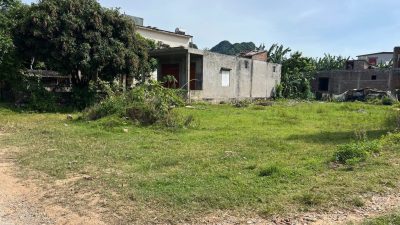 531614192 1906347136882456 6050310929815937649 N